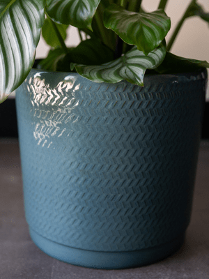 Plantenpot Stein Ocean
