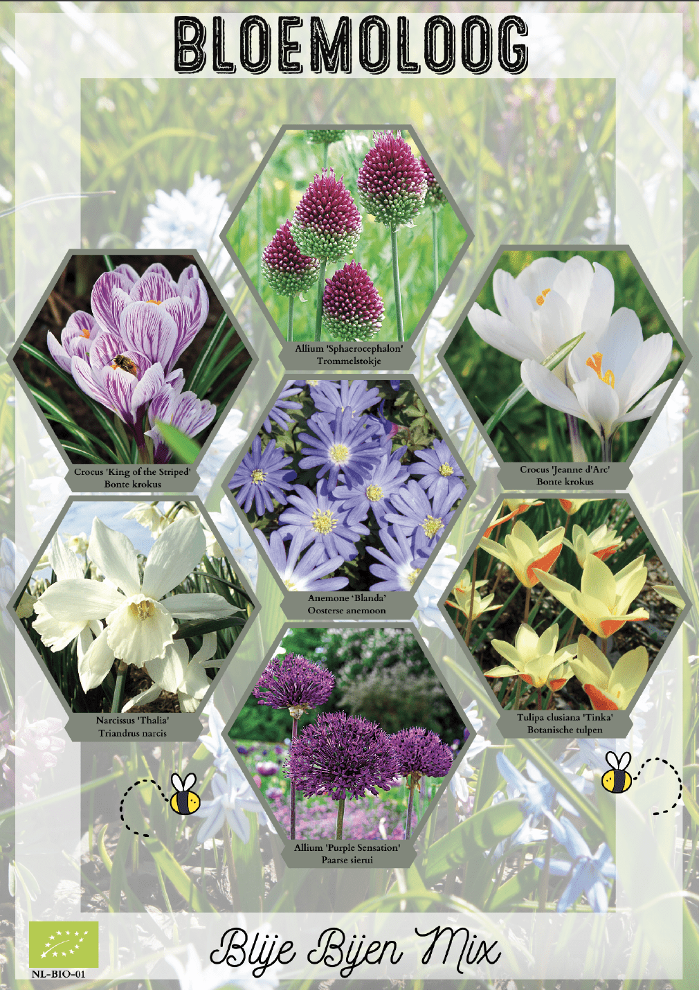 Bio Blije Bijen mix | Bloemoloog