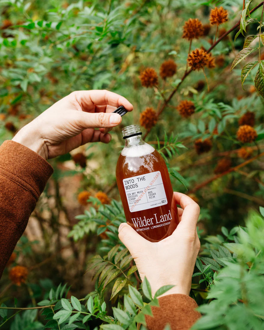 Botanische Limonadesiroop Wilder Land