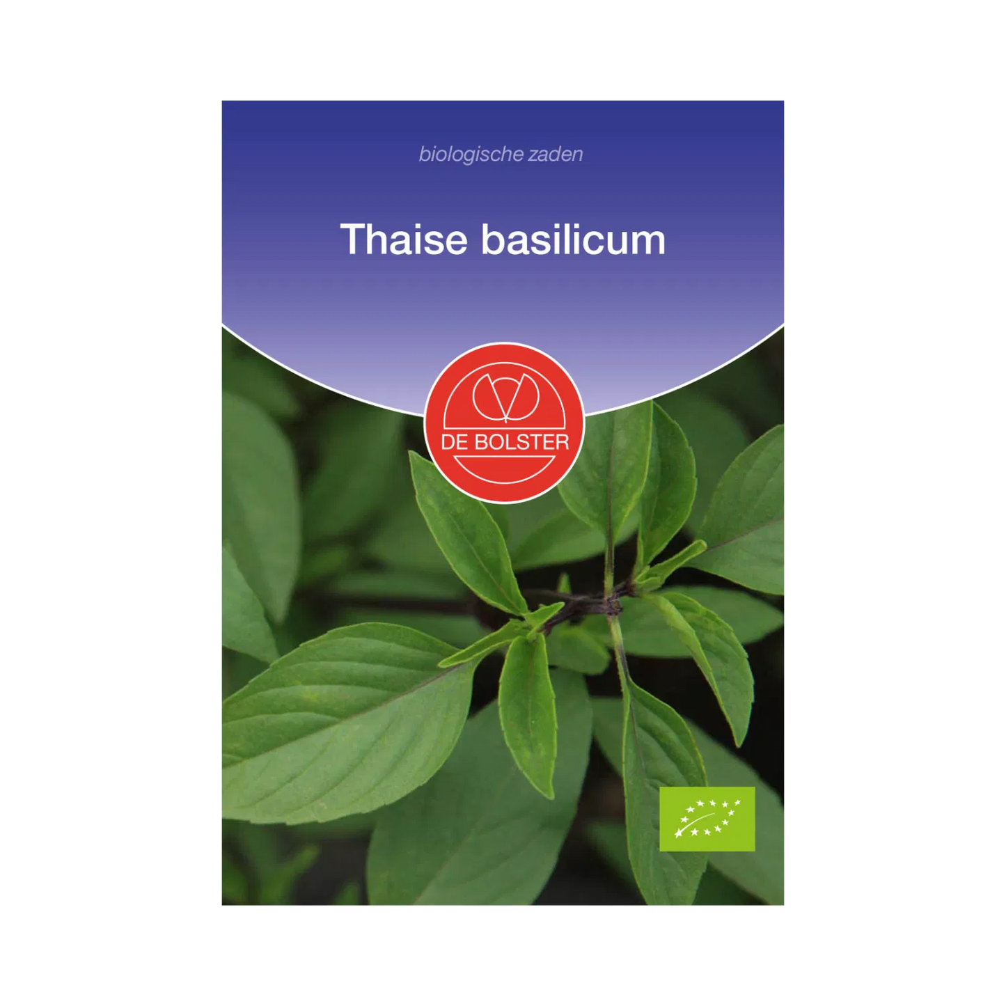 Thaise basilicum De Bolster