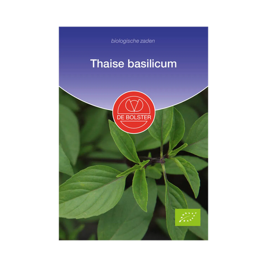 Thaise basilicum De Bolster