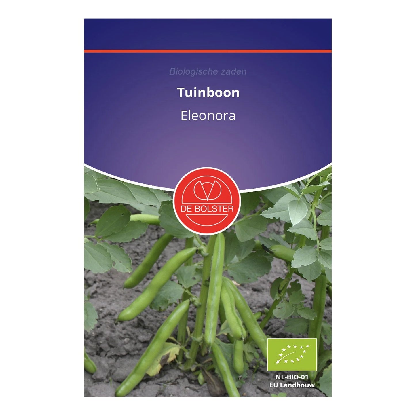 Tuinboon 'Eleonora' De Bolster