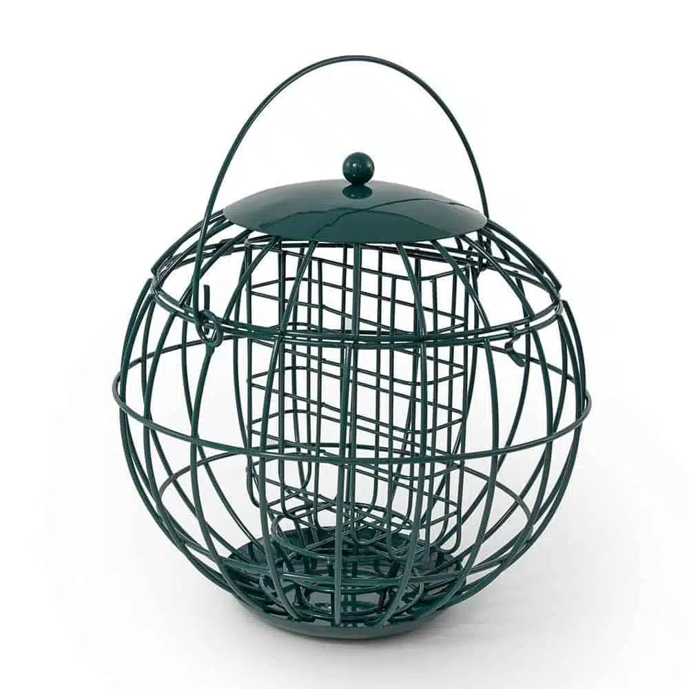 Vetblokhouder London Vogelbescherming