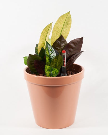 Watermeter hydrocultuur