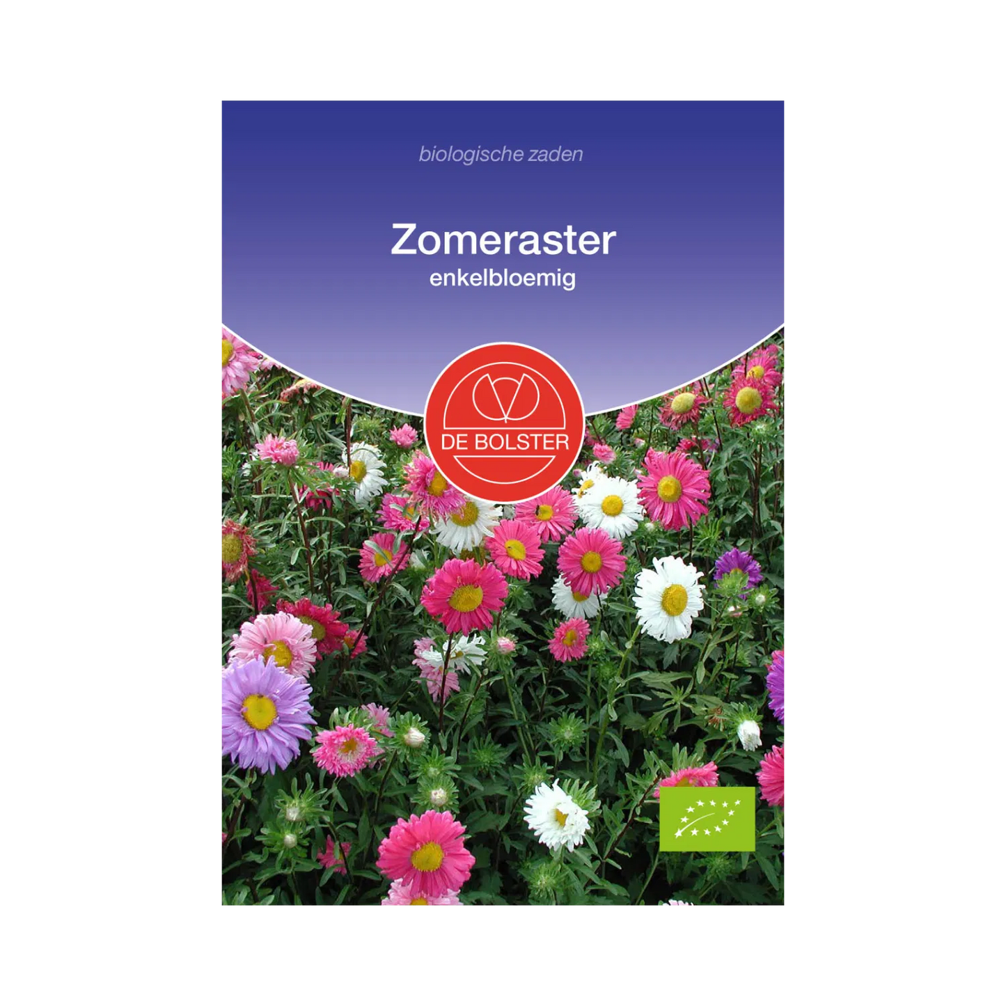 Zomeraster_De Bolster
