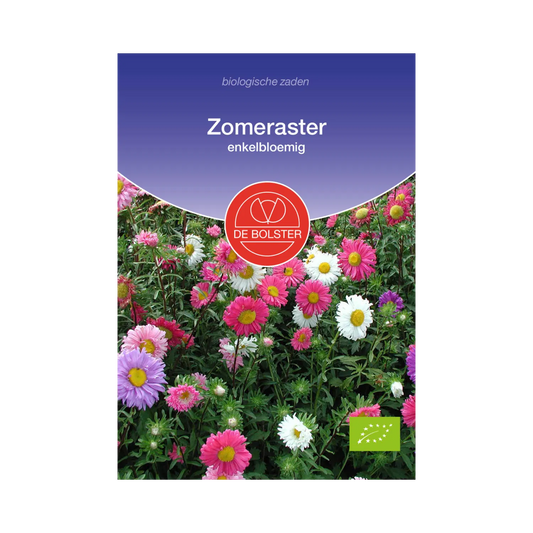 Zomeraster_De Bolster