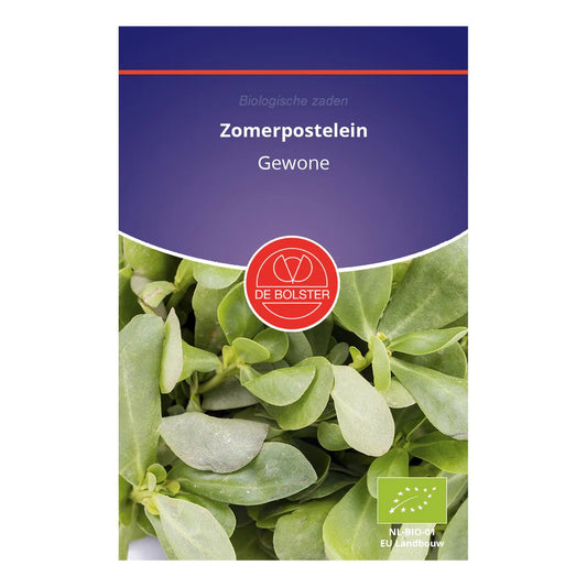 Zomerpostelein_ De Bolster