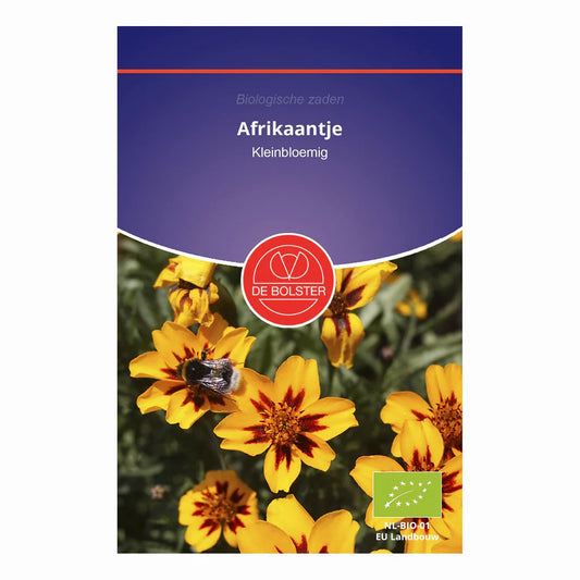 Afrikaantje 'kleinbloemig' De Bolster