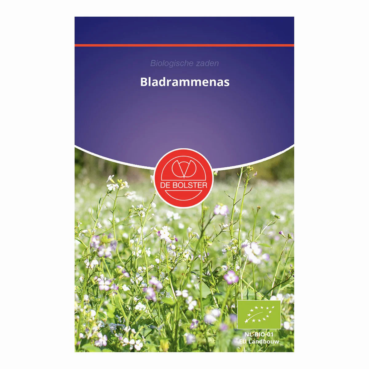 Bladrammenas 'Groenbemester' De Bolster