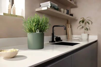 Happy herbs pot blad groen