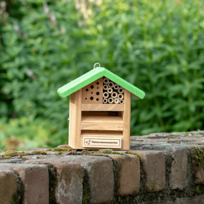 Lieveheerbeestje en bij combinatiekastje Natuurmonumenten