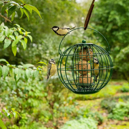 Vetbollenhouder London Vogelbescherming