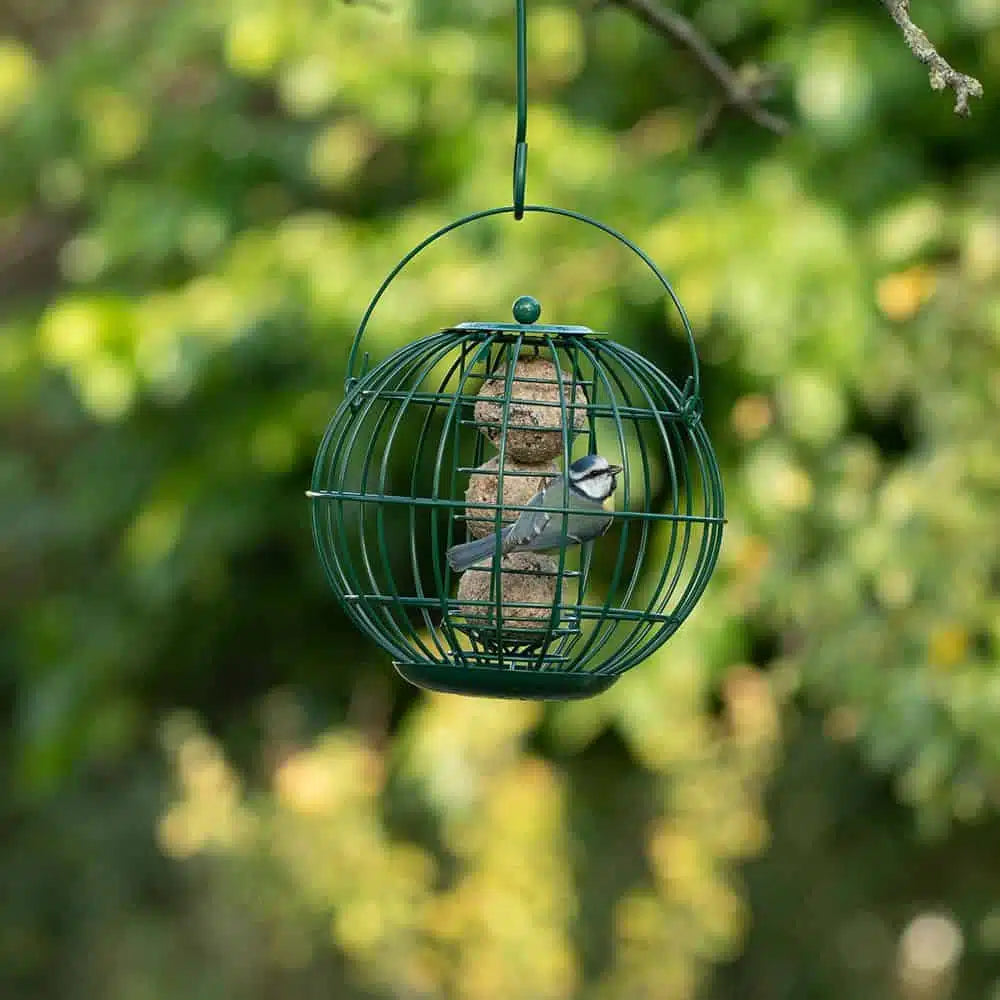 Vetbollenhouder London Vogelbescherming