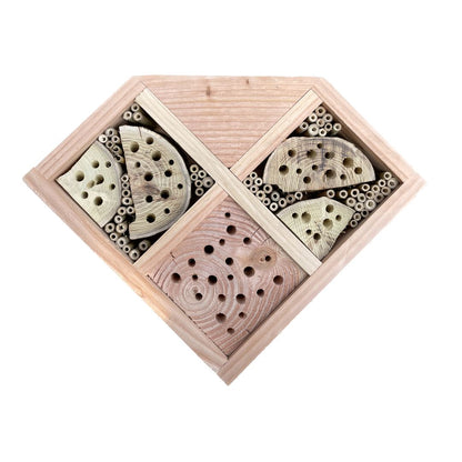 Bestuivershotel Bee&Bee BeeGrateful