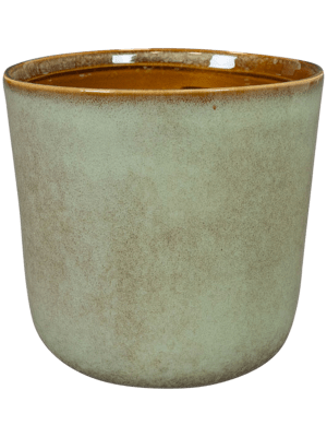 Plantenpot Hedy Thyme