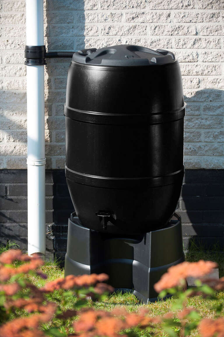 Regenton standaard zwart