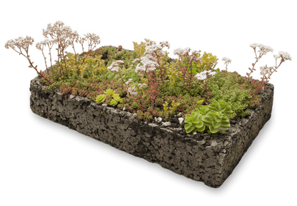 Groendak Kurkmodule EarthKweek