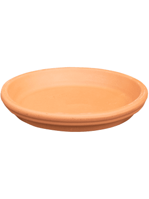 Schotel Terracotta Klassiek