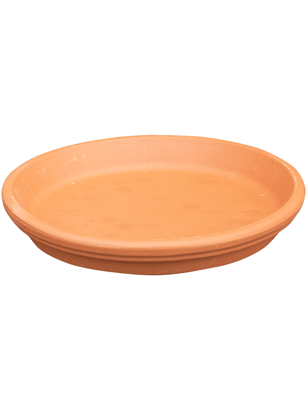 Schotel Terracotta Klassiek