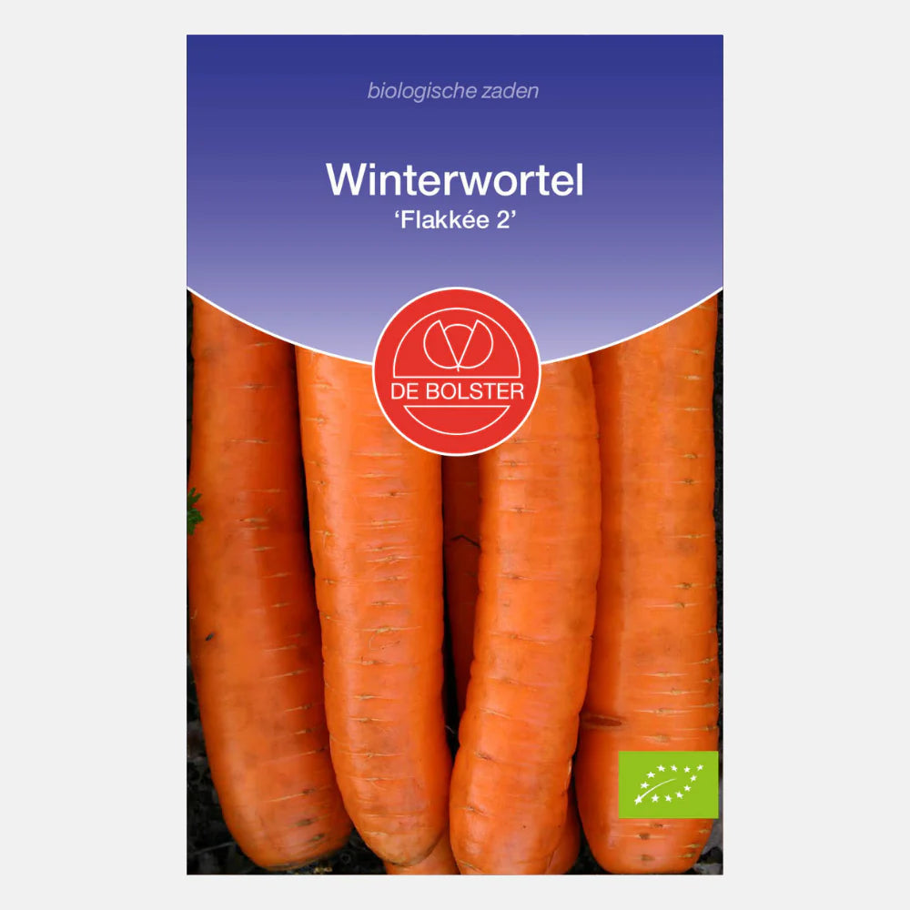 Winterwortel 'Flakkée 2' De Bolster