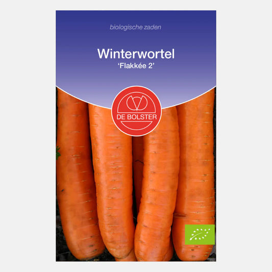 Winterwortel 'Flakkée 2' De Bolster