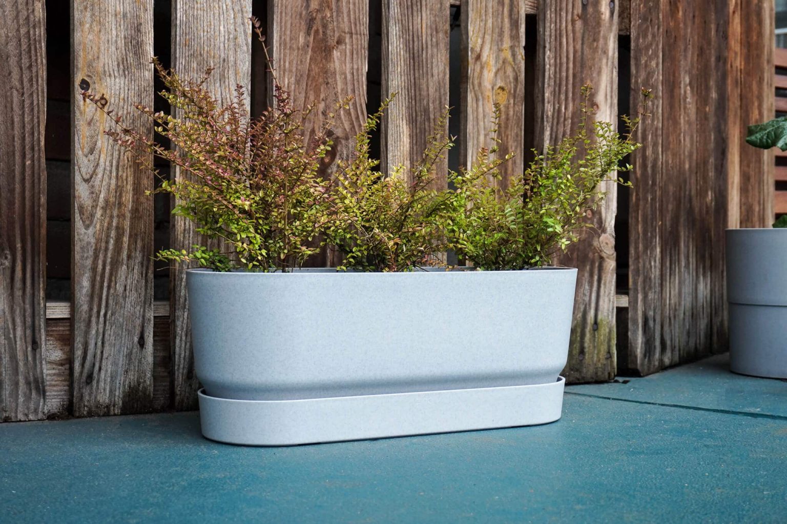 Plantenbak Elho Greenville Trough 50 cm diverse kleuren Marvy Green