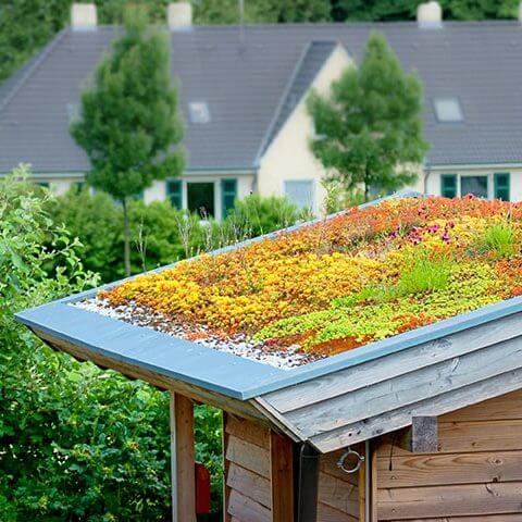 Green roof systems do it yourself