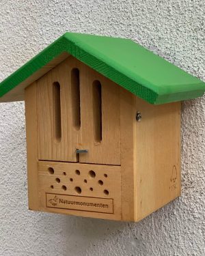 Combikastje vlinder en bij