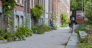 Geveltuin - Gemeente Rotterdam