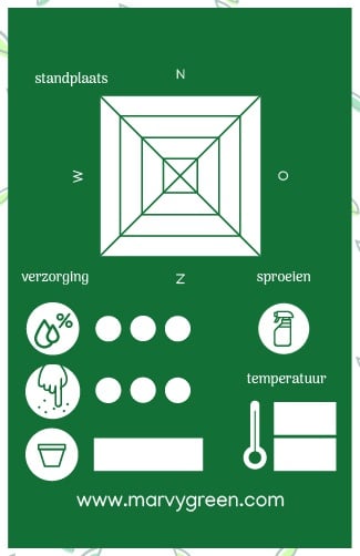 Het verzorgingskaartje van Marvy Green uitgelegd