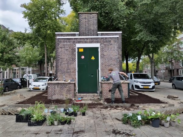 Geveltuin pakket biologisch - Afbeelding 2