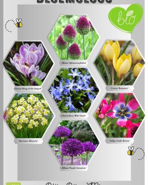 Bloemoloog Blije Bijen Mix 100 stuks | Marvy Green