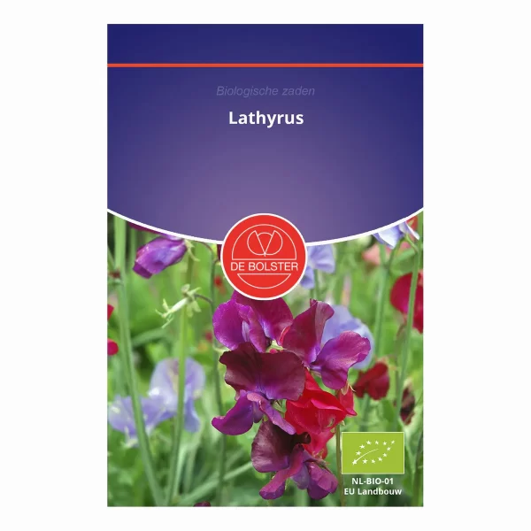 Lathyrus De Bolster