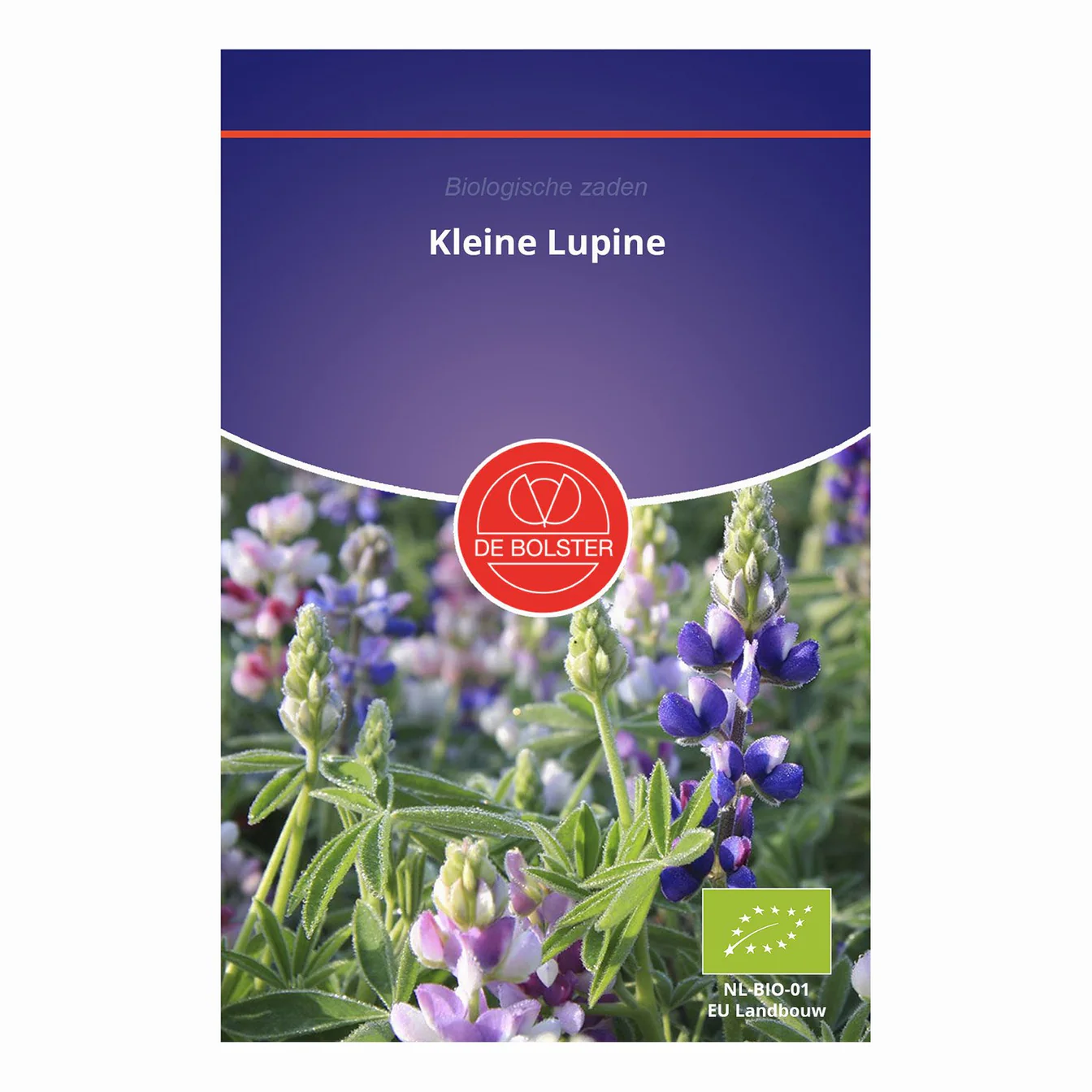 kleine lupine de Bolster