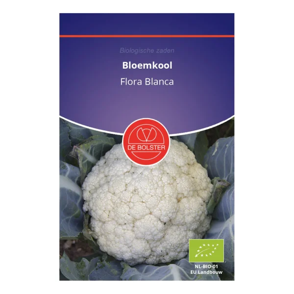 Bloemkool flora Blanca- De bolster