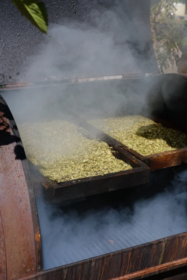 Het roken van de kruiden voor de Holy Smokey Kombucha van Wilder Land