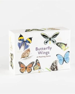 Spelletje met vlinders - zoek de juiste paren bij elkaar op basis van hun vleugelpatroon - Butterfly Wings Matching