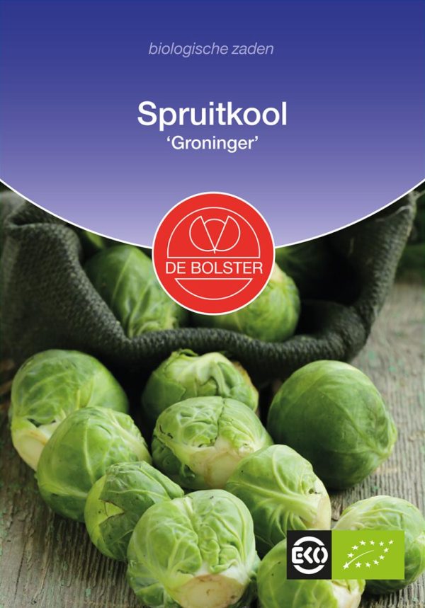 Spruitkool 'Groninger' De Bolster