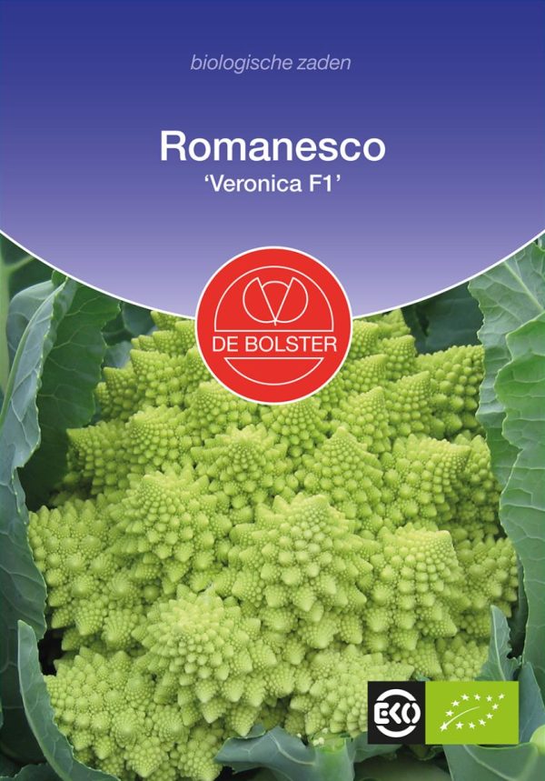 Romanesco 'Veronica F1' De Bolster