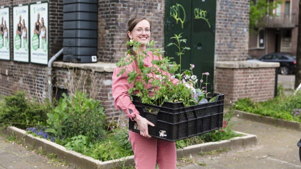 Geveltuin pakket biologisch - Afbeelding 3