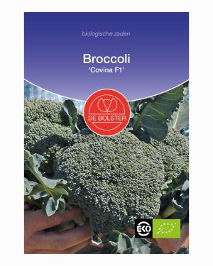 Broccoli De Bolster