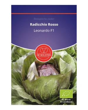 Radicchio Rosso De Bolster