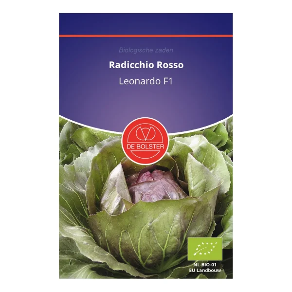 Radicchio Rosso De Bolster