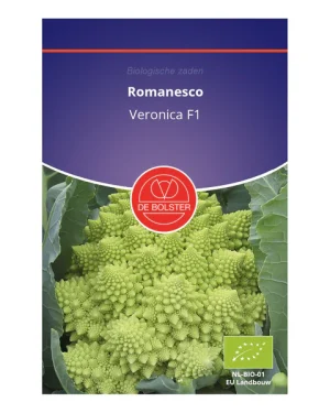 Romanesco De Bolster