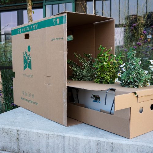 Gevulde Balkonbak Marvy Green